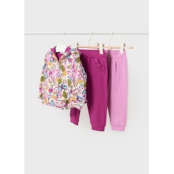 (28641) CHANDAL 2 PANTALONES