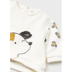 (28635) CONJUNTO FALDA PUNTO Y LEOTARDO