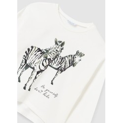 (28779) CAMISETA M/L GRAFICA