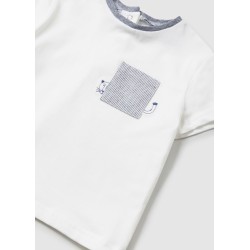 (29127) CAMISETA M/C VESTIR