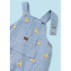 (29216) CONJUNTO PETO TEJANO