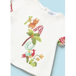 (29225) CONJUNTO CAMISETA CULETIN