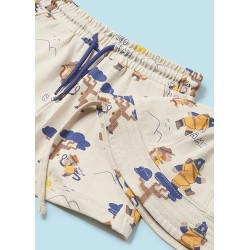 (29231) CONJUNTO PUNTO PRINT CON BUCKET