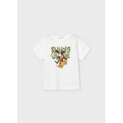 (29278) CAMISETA M/C "ROLLING"