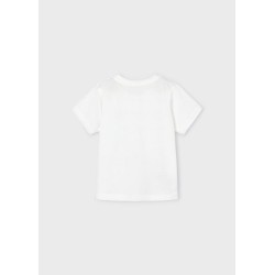 (29278) CAMISETA M/C "ROLLING"