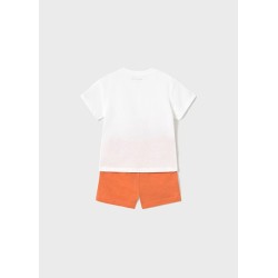 (30412) CONJUNTO PUNTO TABLAS SURF