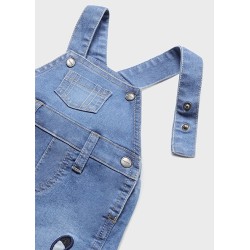 (27962) CONJUNTO PETO TEJANO