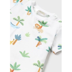 (29216) CONJUNTO PETO TEJANO